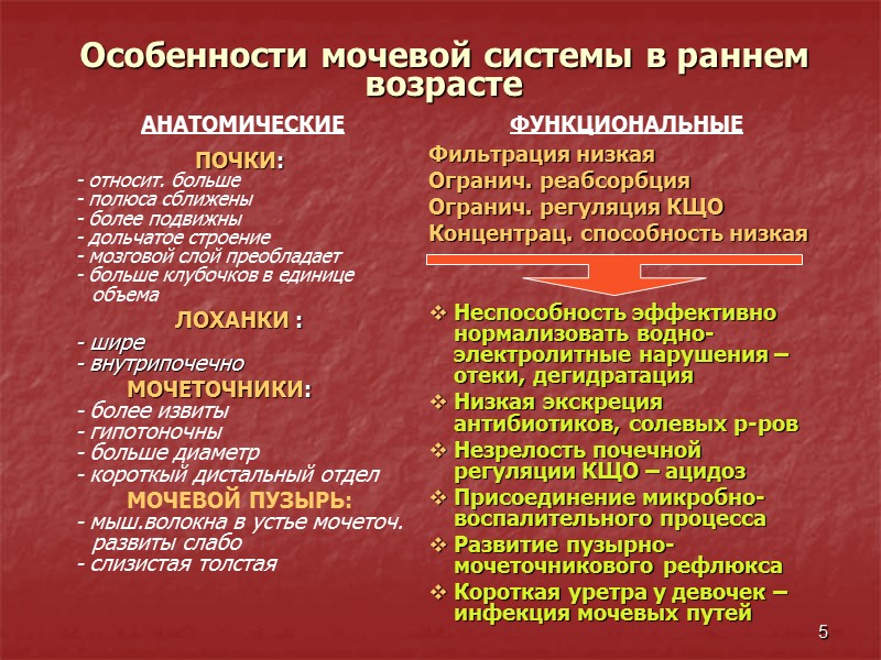5 Особенности мочевой системы в раннем возрасте   АНАТОМИЧЕСКИЕ  ПОЧКИ: - относит.